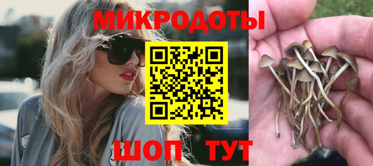 Галлюциногенные грибы Psilocybine cubensis  сколько стоит  Гусев  Псилоцибиновые грибы MAGIC MUSHROOMS  Вход с VPN 